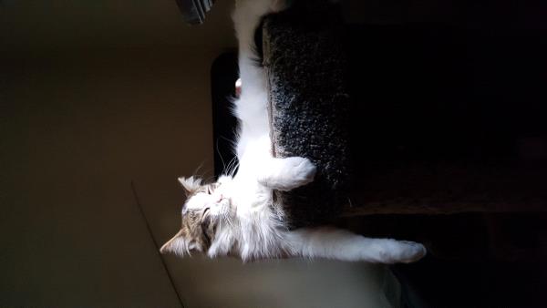 /Images/uploads/Humane Society of Utah/HSUCalendar/entries/1146thumb.jpg